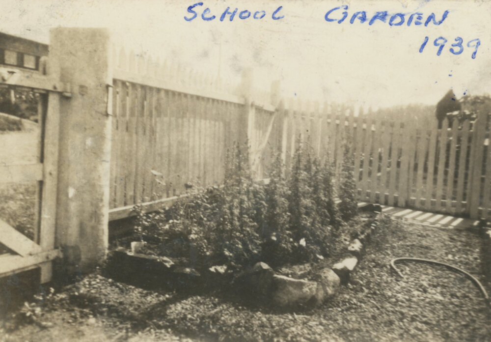 School garden