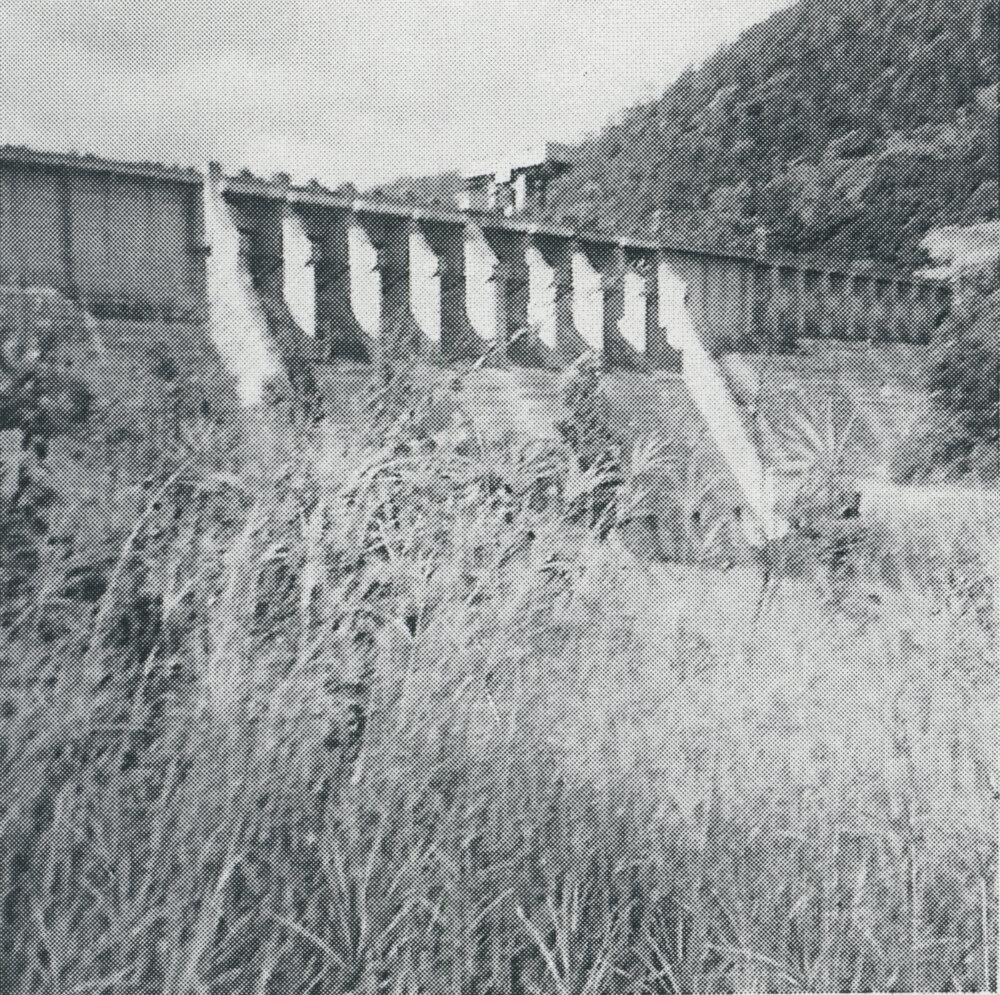 Somerset Dam from the bank below the wall 