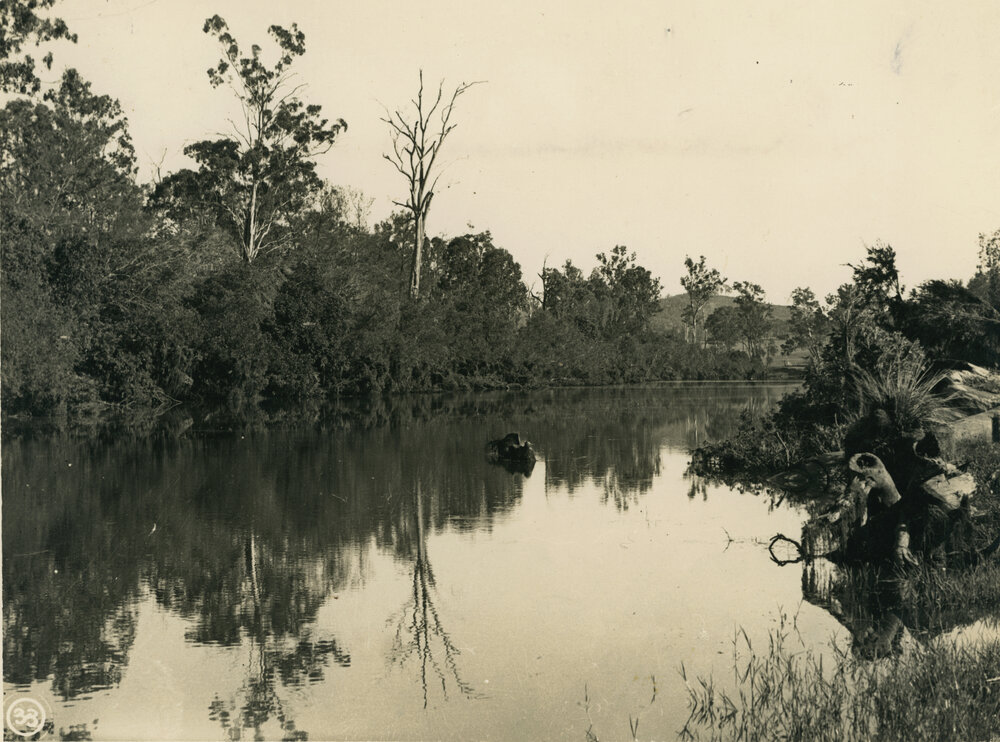 Stanley River, looking downstream from sandpit C