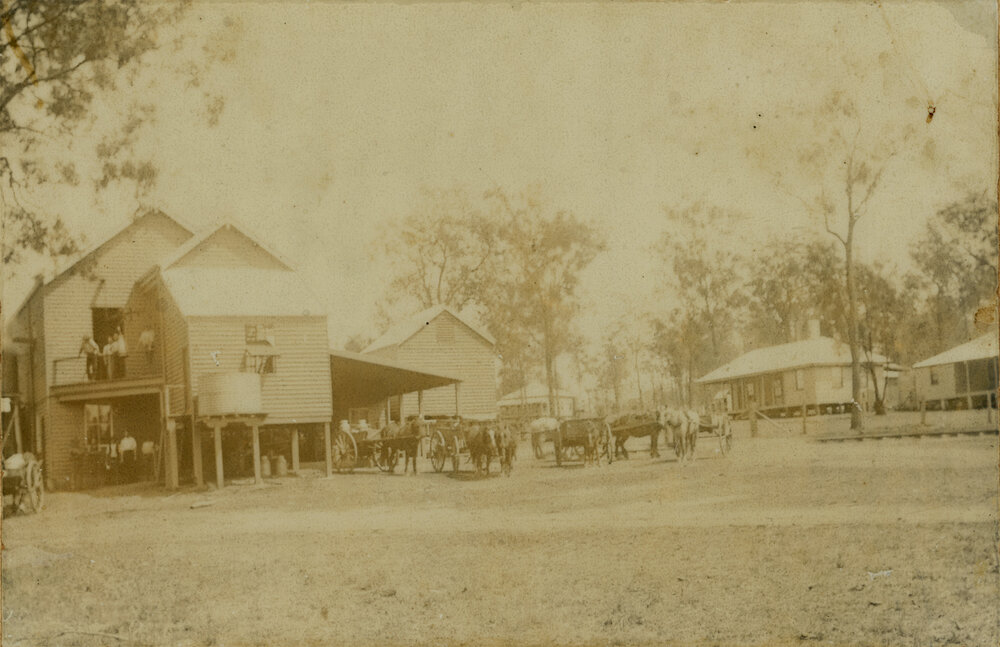 The McConnell condensery. Horses pulling milk carts, wait at the factory 