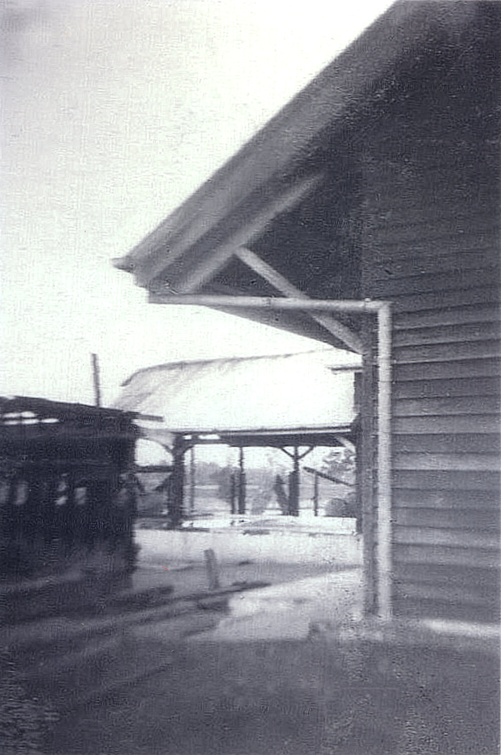 Condensery buildings in ruin