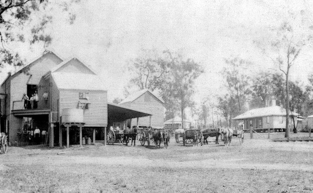 McConnell condensery: Horses waiting.
