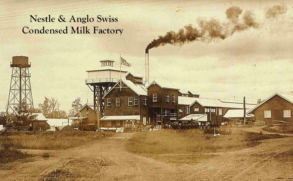 Nestle &amp; Anglo Condensed Milk Factory
