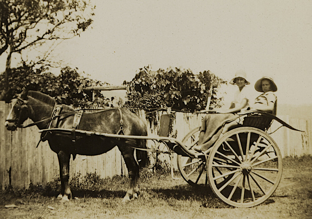 Alice Maddicks in a horse drawn buggy