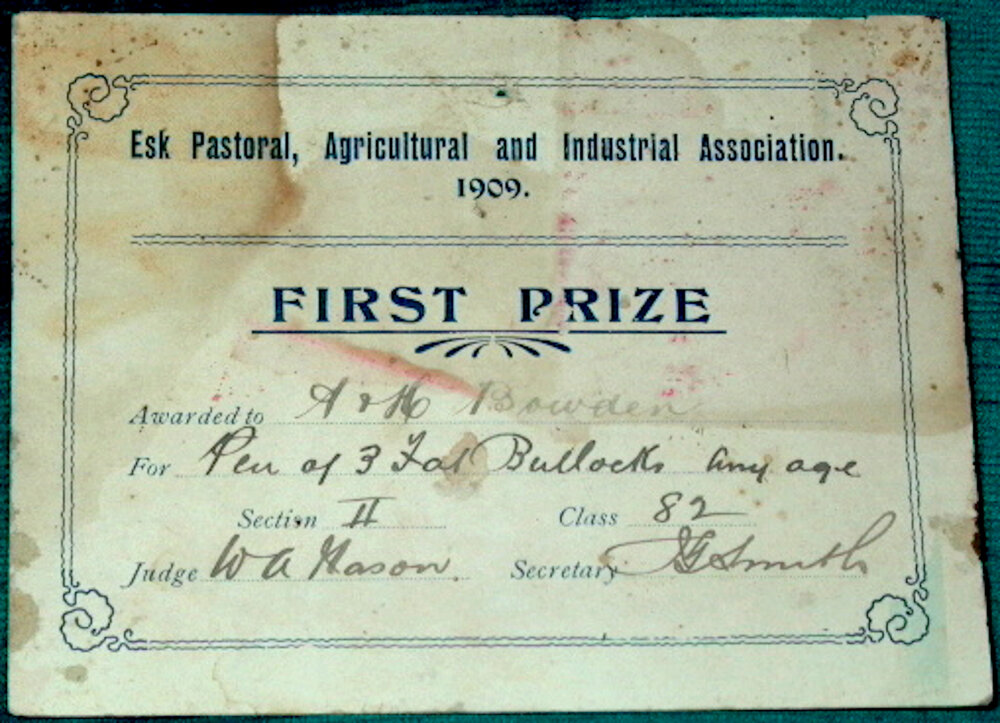 Esk Pastoral, Agricultural and Industrial Association, first prize certificate 