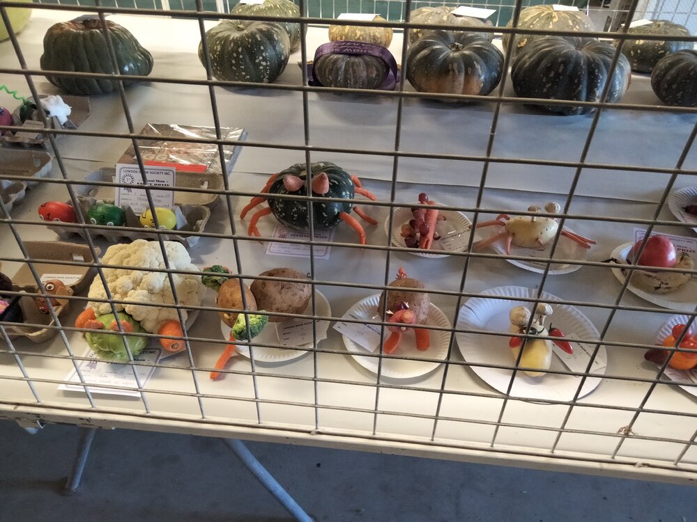 Display of vegetable creatures entries at 2024 Lowood Show