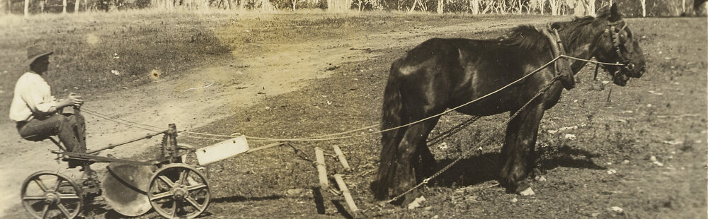Eddie Kirby ploughing at Brighton Hills
