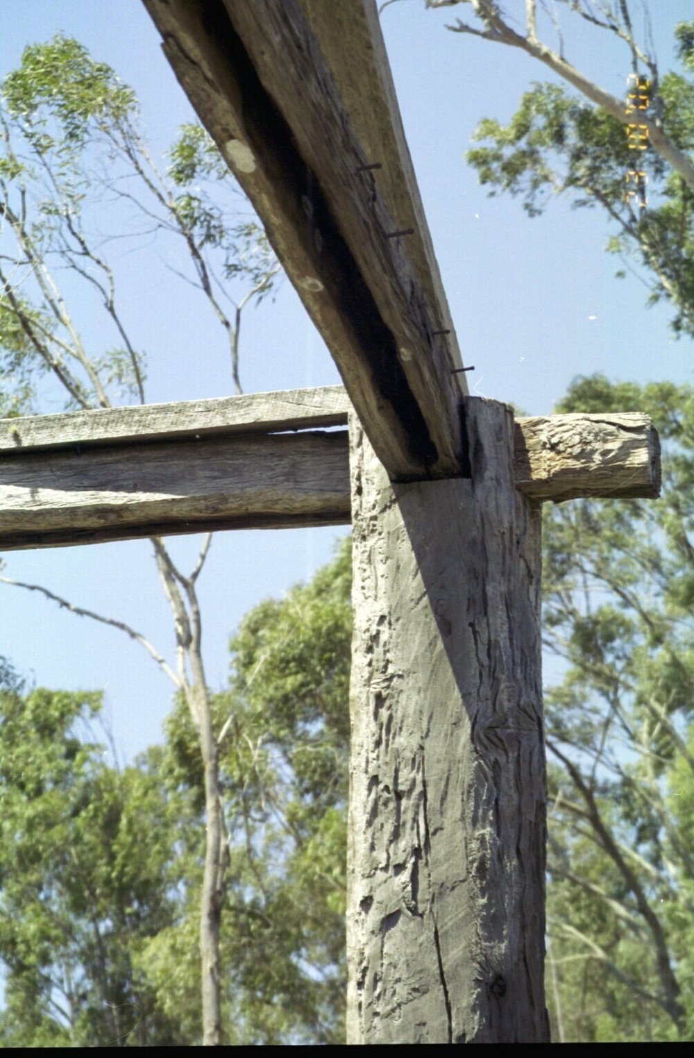 Hut at England Creek (detail 2), 2002
