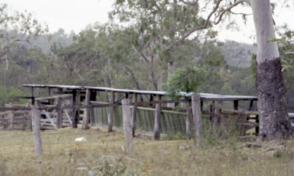 Livestock dip in Buaraba, 2002