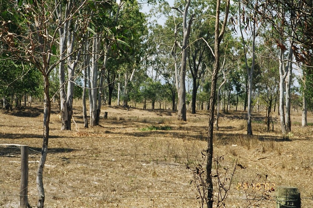 Dam mill site at Coominya, 2002