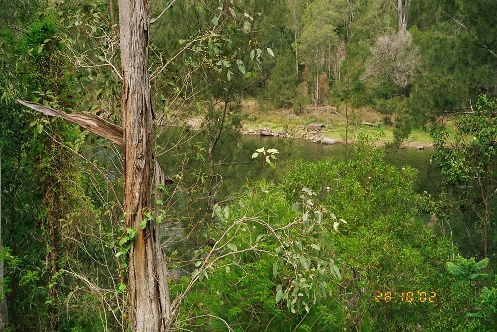 River viewed from Gipps Street, Somerset Dam, 2002