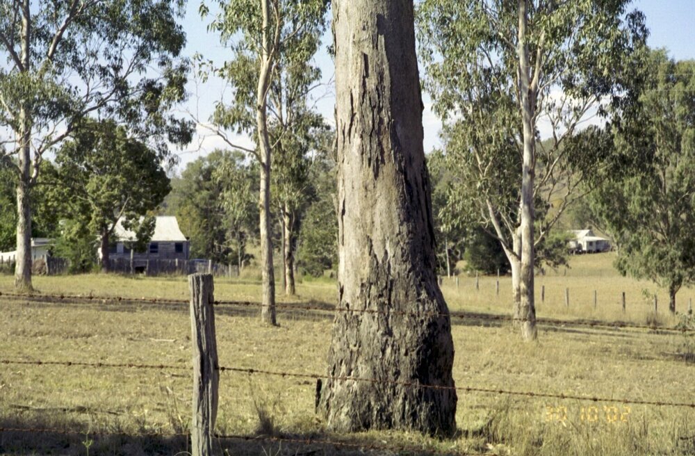 Unidentified property, Esk Shire Region, 2002