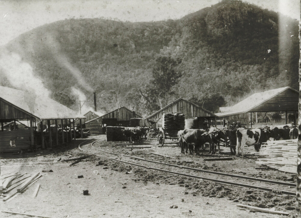 Anderson&rsquo;s Mill