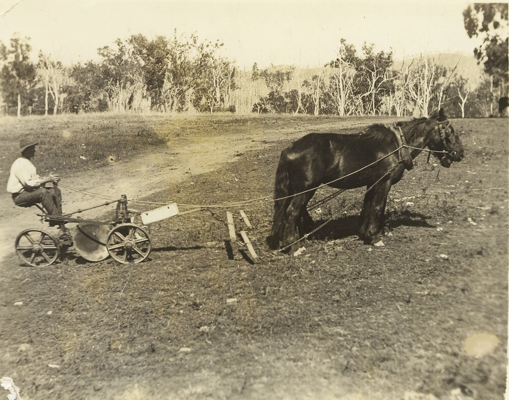 Eddie Kirby ploughing at Brighton Hills