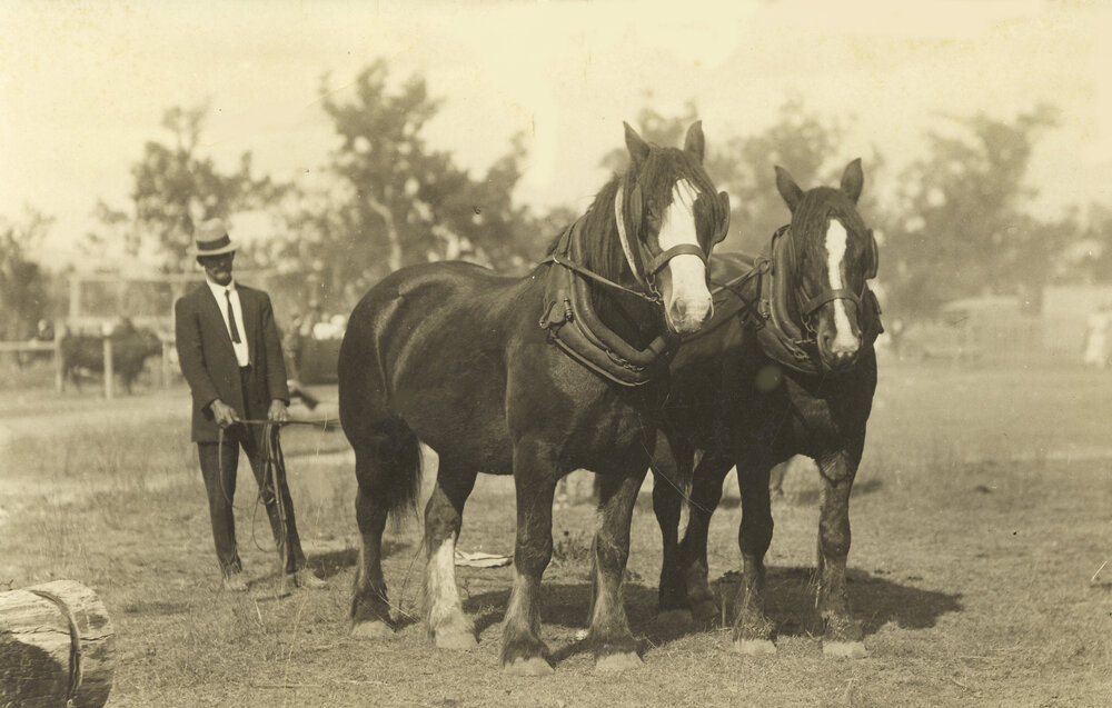Dick Maddicks ploughing