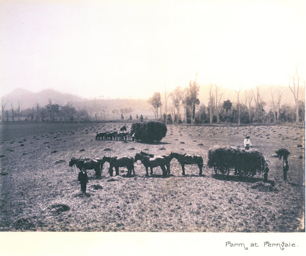Farm at Fernvale