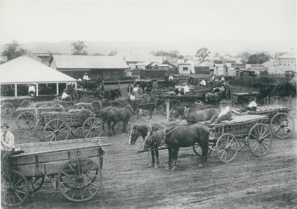 Horses with carts waiting at Lowood railway yard
