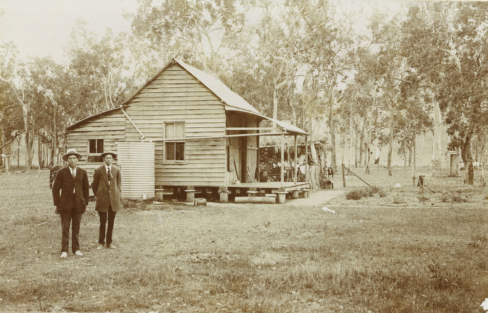 Brighton Hills School