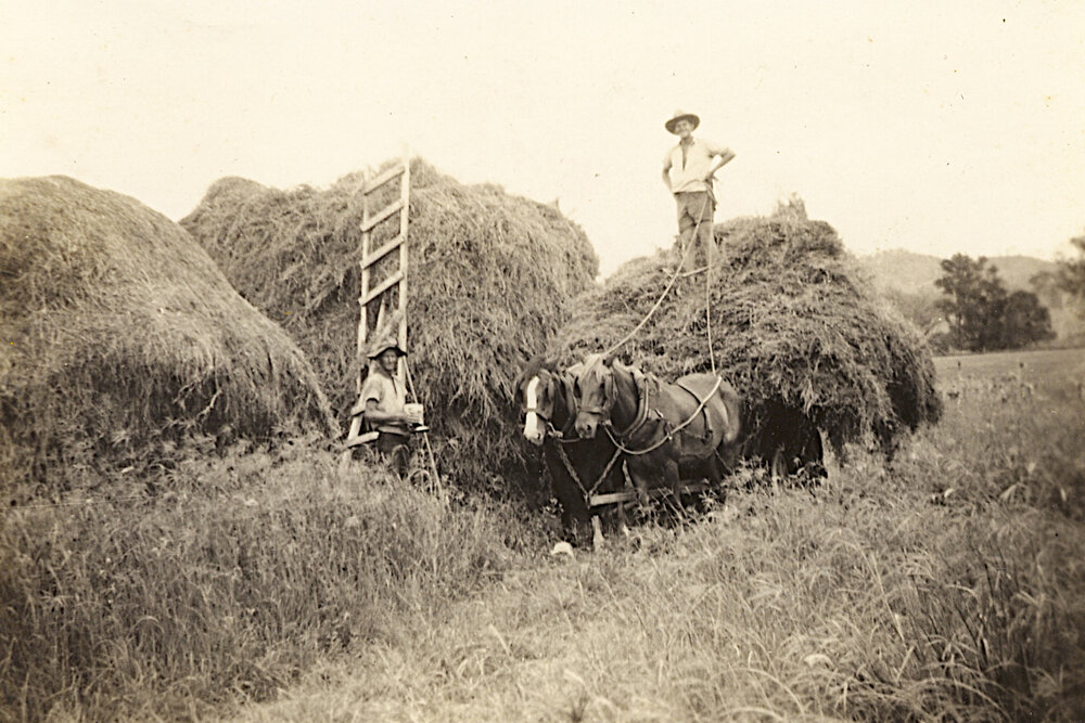 Hay making on Northside Farm