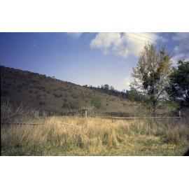 House site on Frampton Road, Hine Peninsular, 2002