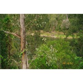 River viewed from Gipps Street, Somerset Dam, 2002