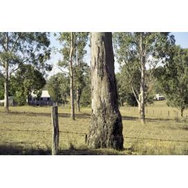 Unidentified property, Esk Shire Region, 2002