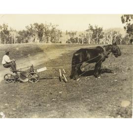 Eddie Kirby ploughing at Brighton Hills