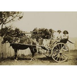 Alice Maddicks in a horse drawn buggy