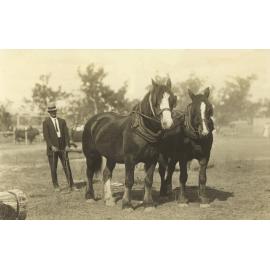 Dick Maddicks ploughing