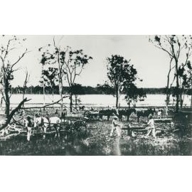 A view of Lake Clarendon 