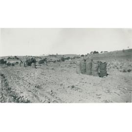 A harvested potato crop at a farm at Lowood