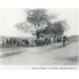 Hauling timber to Lowood Railway Station