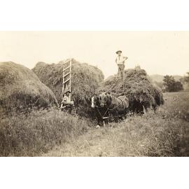 Hay making on Northside Farm