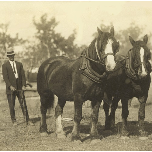 Agriculture