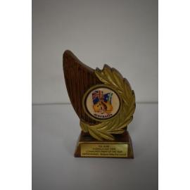 Australia Day trophy for Community Event of the Year 2008 to the Brisbane Valley Arts Council 