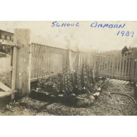 School garden
