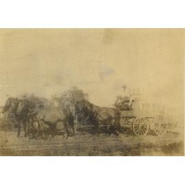 Wagons bringing the milk to the factory, 1910