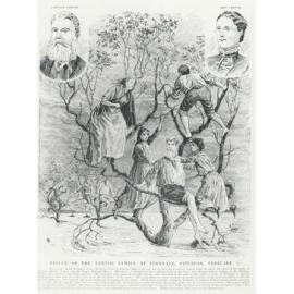 Rescue of the Vernor Family at Fernvale, Saturday 4th February, 1893