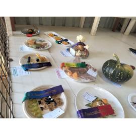 Fruit and vegetable creatures display, Esk Show 2025