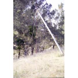 Telephone line at Mt Byron Road, 2002